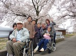 お花見ドライブツアー　藤田川の桜並木